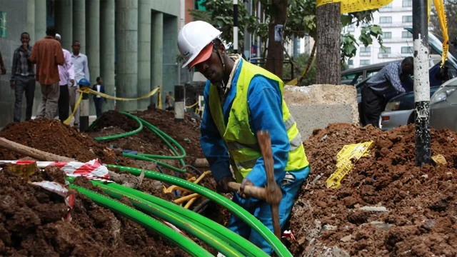 Terrestrial fibre SOURCE