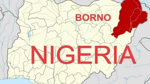 BORNO STATE