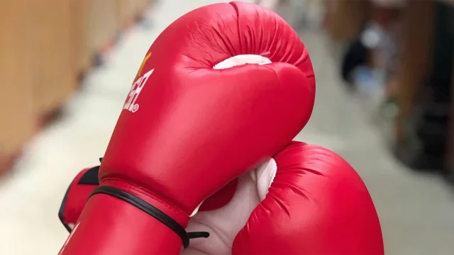 Boxing gloves. Photo JIJI