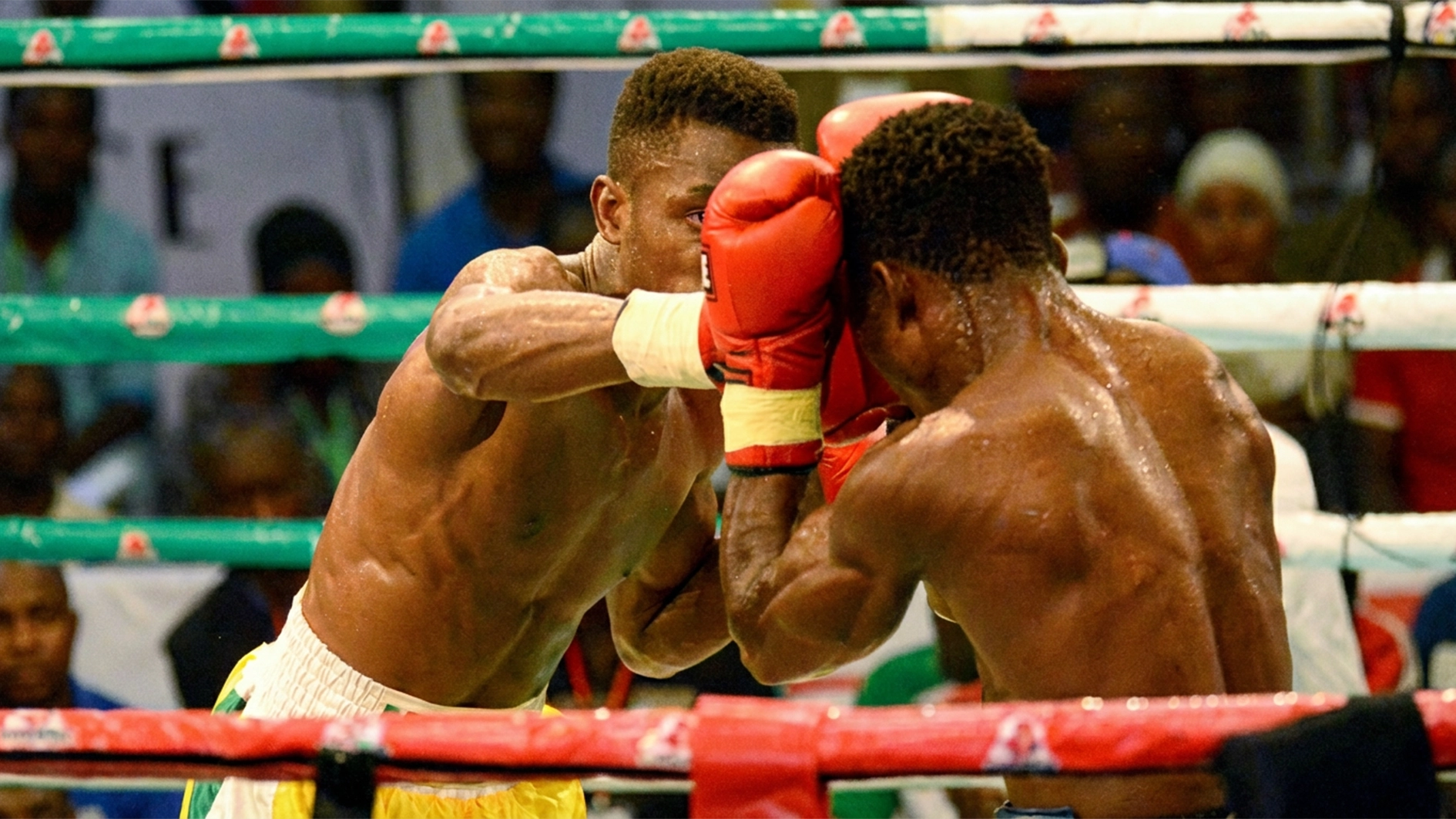 GOtv Boxing Night 34