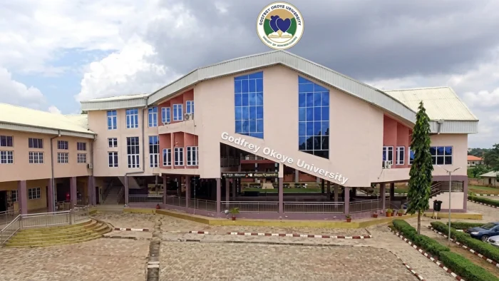 Godfrey Okoye University (GOUNI)