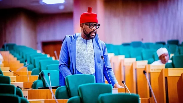 Hon. Ikenga Imo Ugochinyere