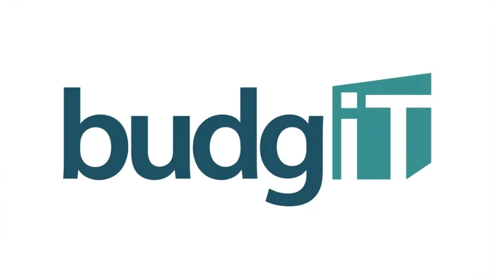 Leading civic-tech organisation in Nigeria, BudgIT