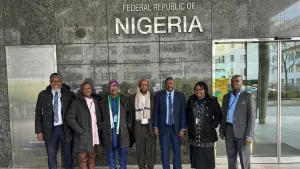 Nigeria, others tasked with closing persistent digital divides, internet affordability