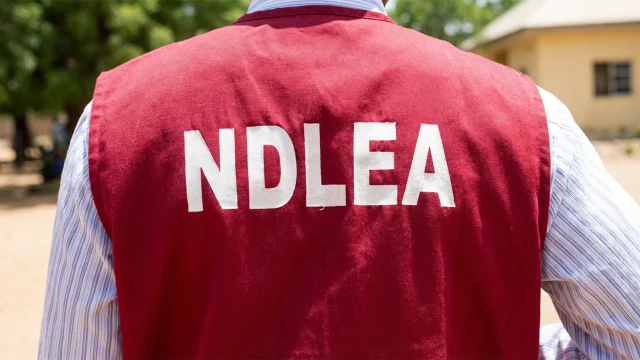 The National Drug Law Enforcement Agency (NDLEA)