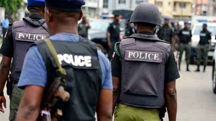 The Nigeria Police Force (NPF)