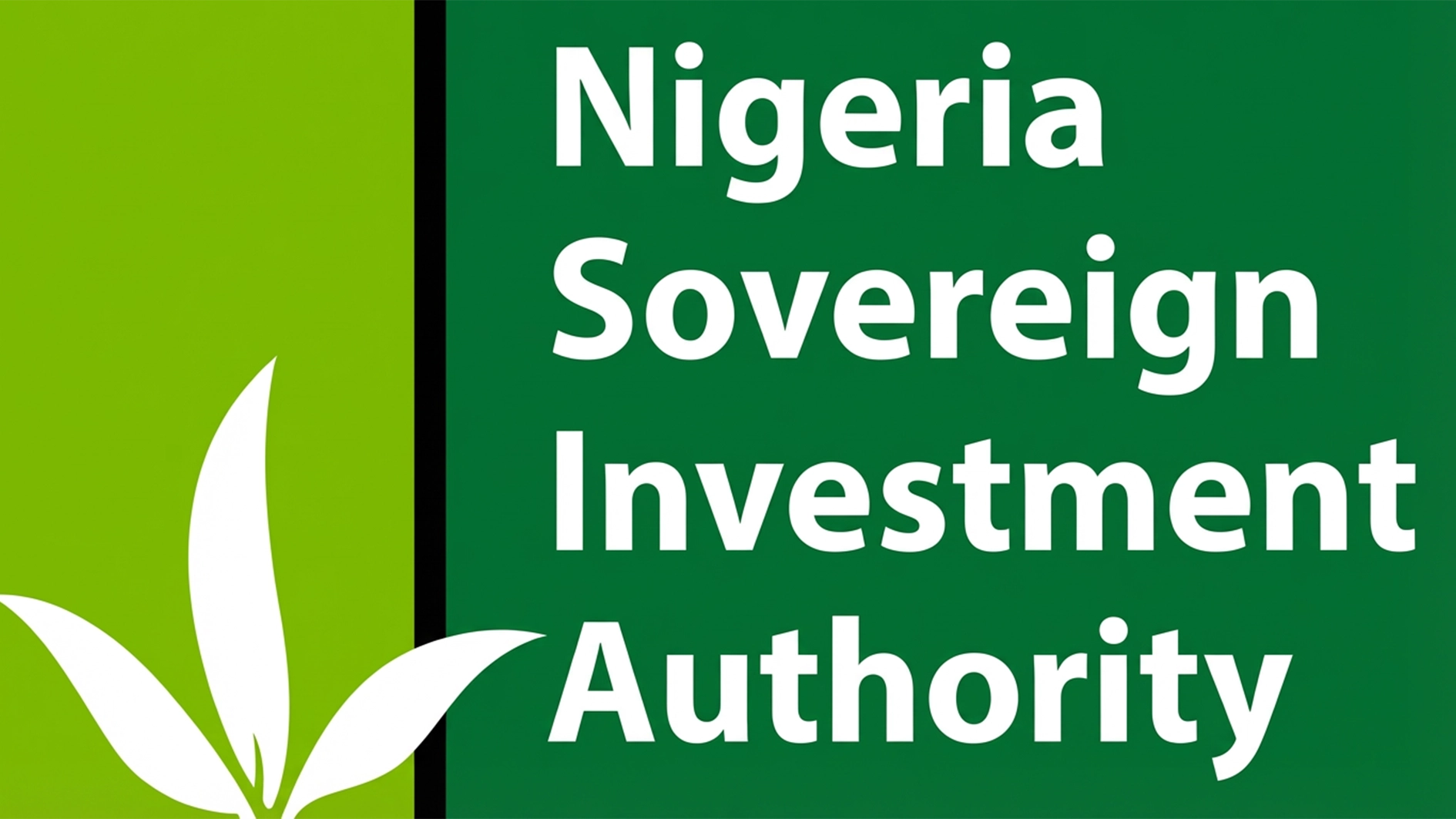 The Nigerian Sovereign Investment Authority (NSIA)