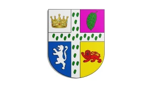 University of Fortune