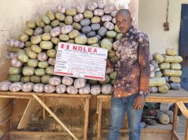 NDLEA seizes drugs in coffee, book parcels, arrests 22 Indians