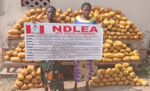 NDLEA seizes drugs in coffee, book parcels, arrests 22 Indians