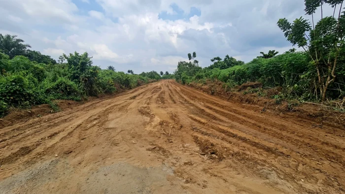 Graded roadway