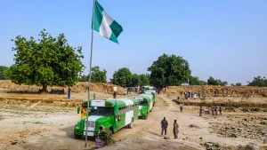 Borno State refugees return from Cameroon