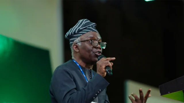 Mr Femi Falana(SAN)