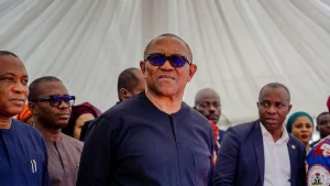 Former presidential candidate Peter Obi