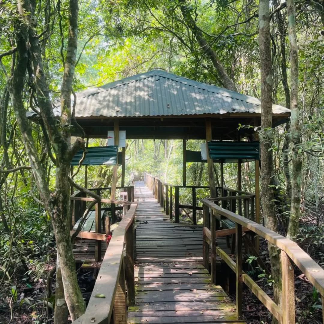 Lekki Conservation Centre