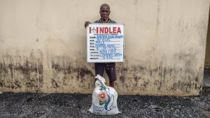NDLEA