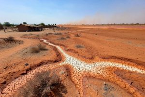 Nigerian desert