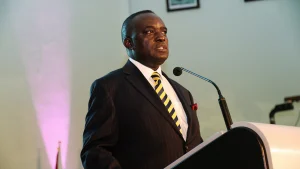 Professor Peter Okebukola