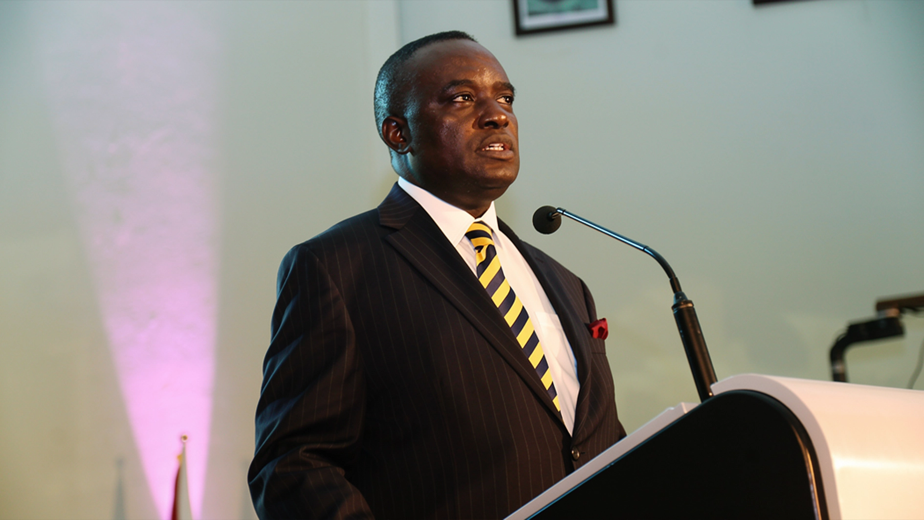 Professor Peter Okebukola