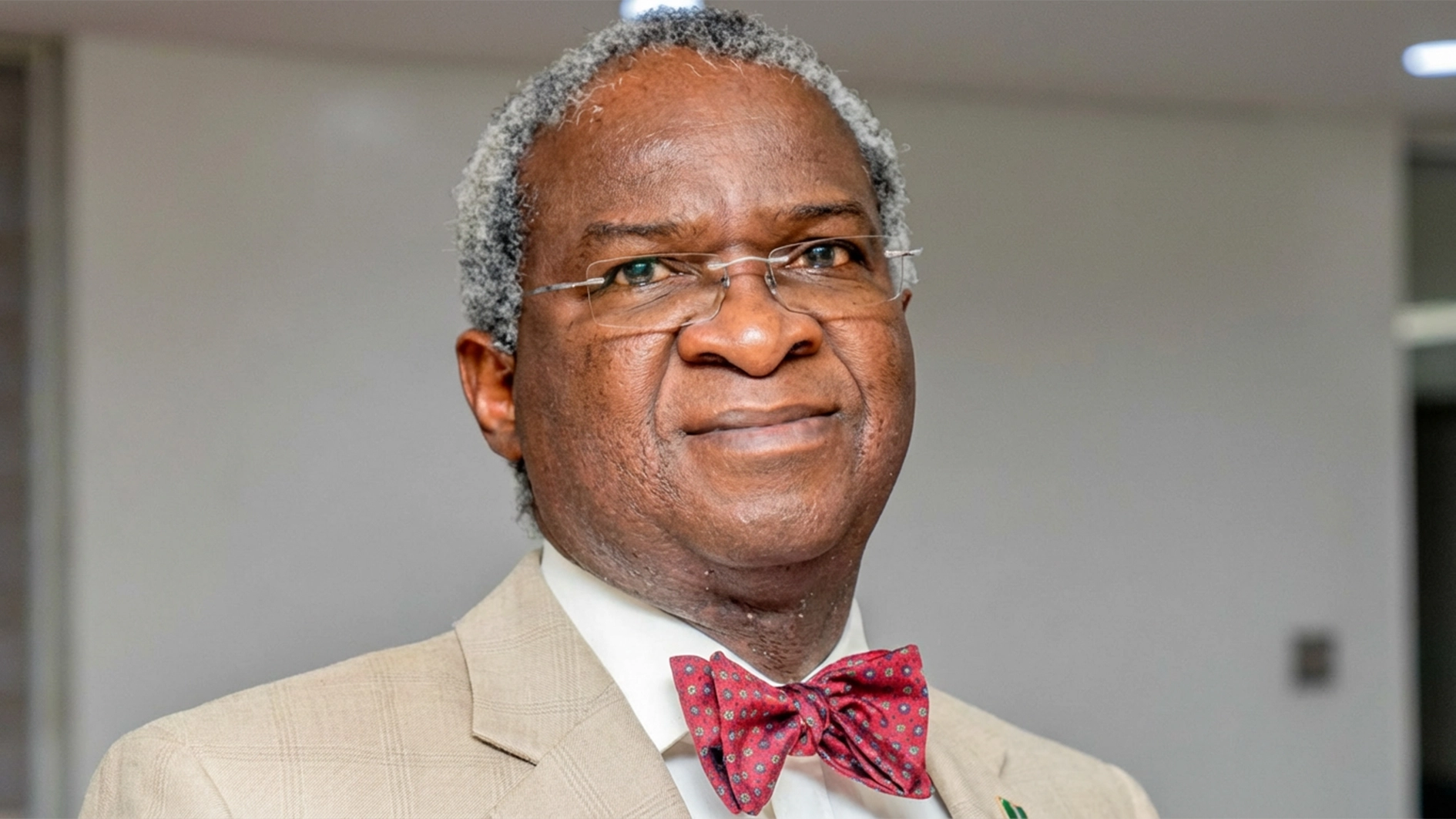 Visa Restrictions: Nigeria should assert its position, not beg, says Fashola