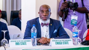 The Secretary to the Enugu State Government (SSG), Prof Chidiebere Onyia, has threatened to terminate contracts over poor delivery