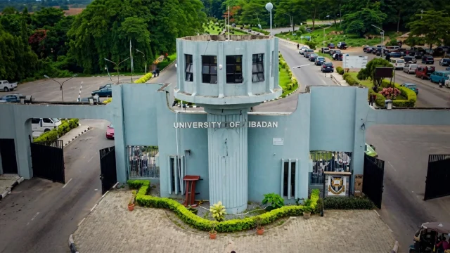 The University of Ibadan (UI)