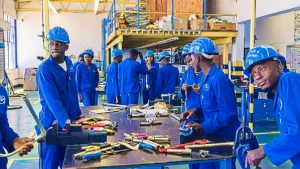 The rise of vocational training in nigeria