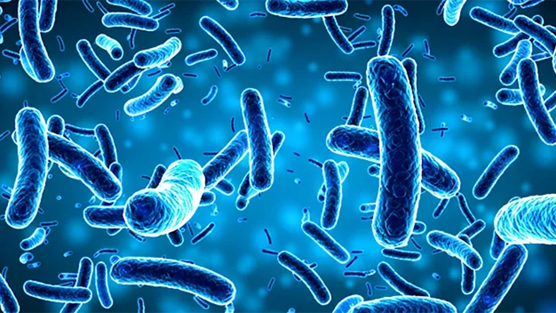 Antimicrobial resistance