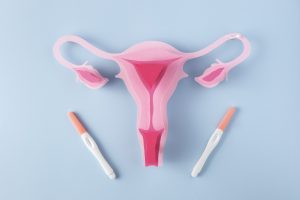 female-reproductive-system-flat-lay. Photos from Freepik
