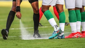 referees