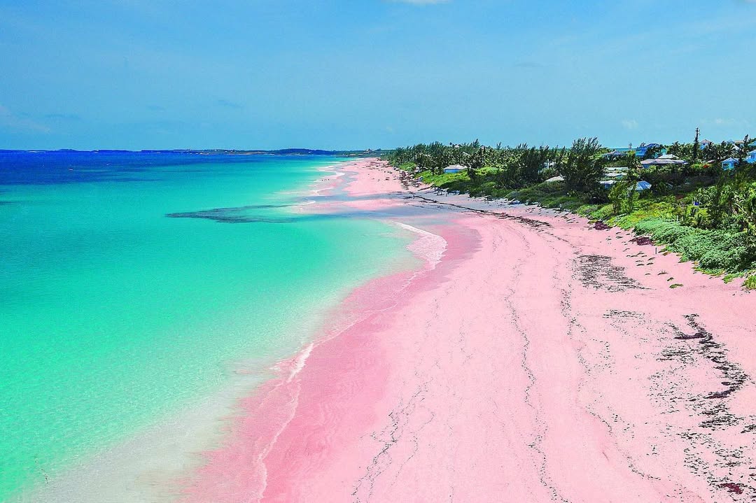 Pink sands beach. Bahamas. Photo Credit: Harbour Island mansions 