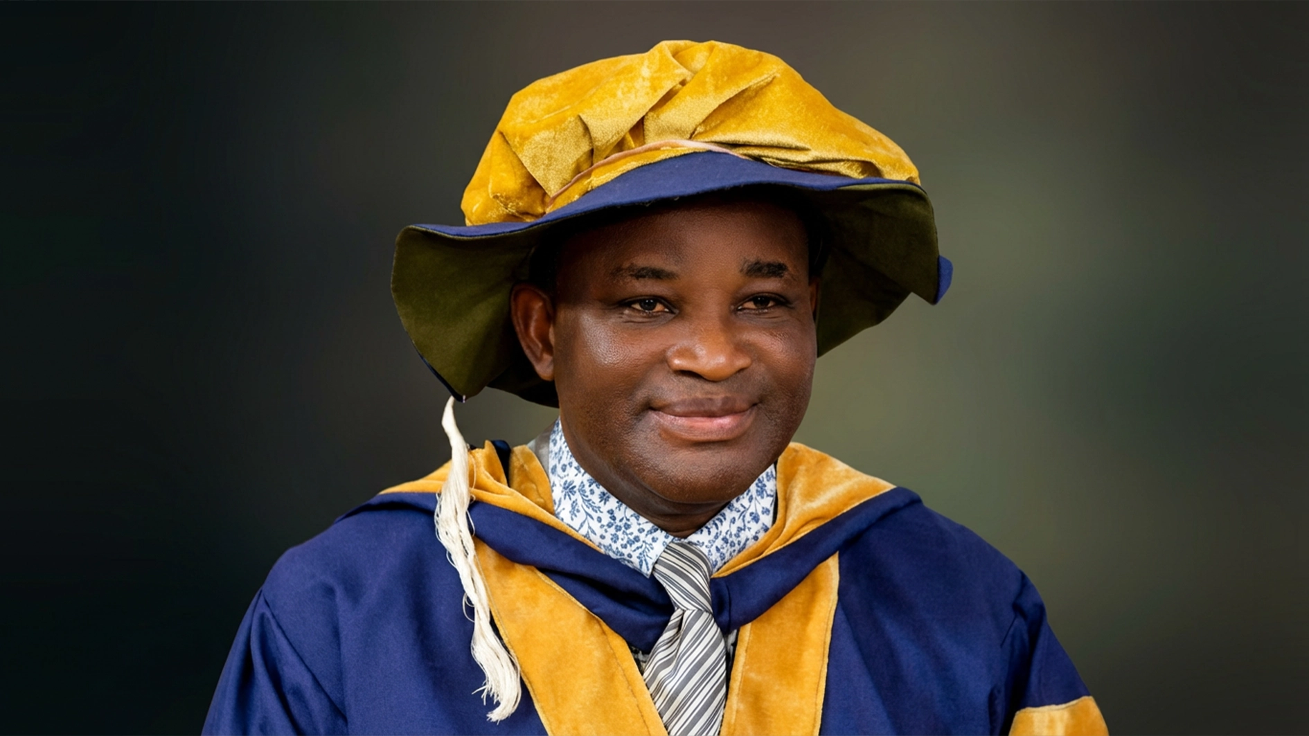 Professor Theophilus Ugah
