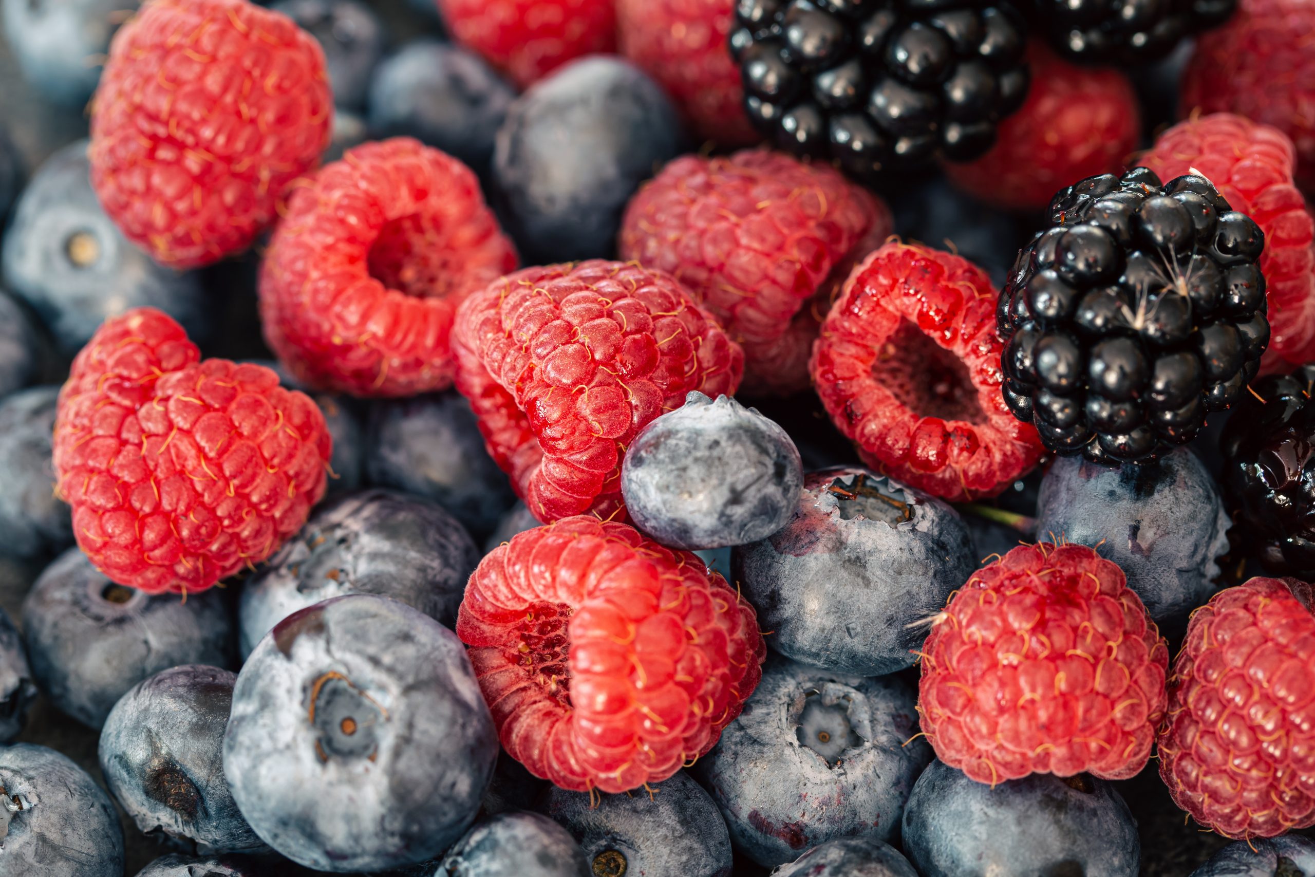 Berries. Photo by Freepik