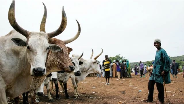Herders