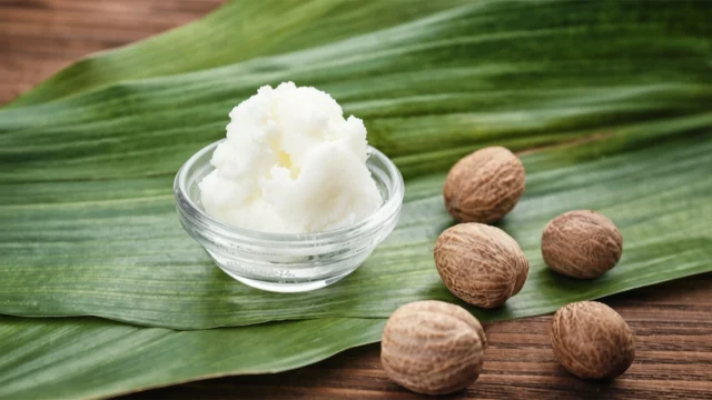 shea nut