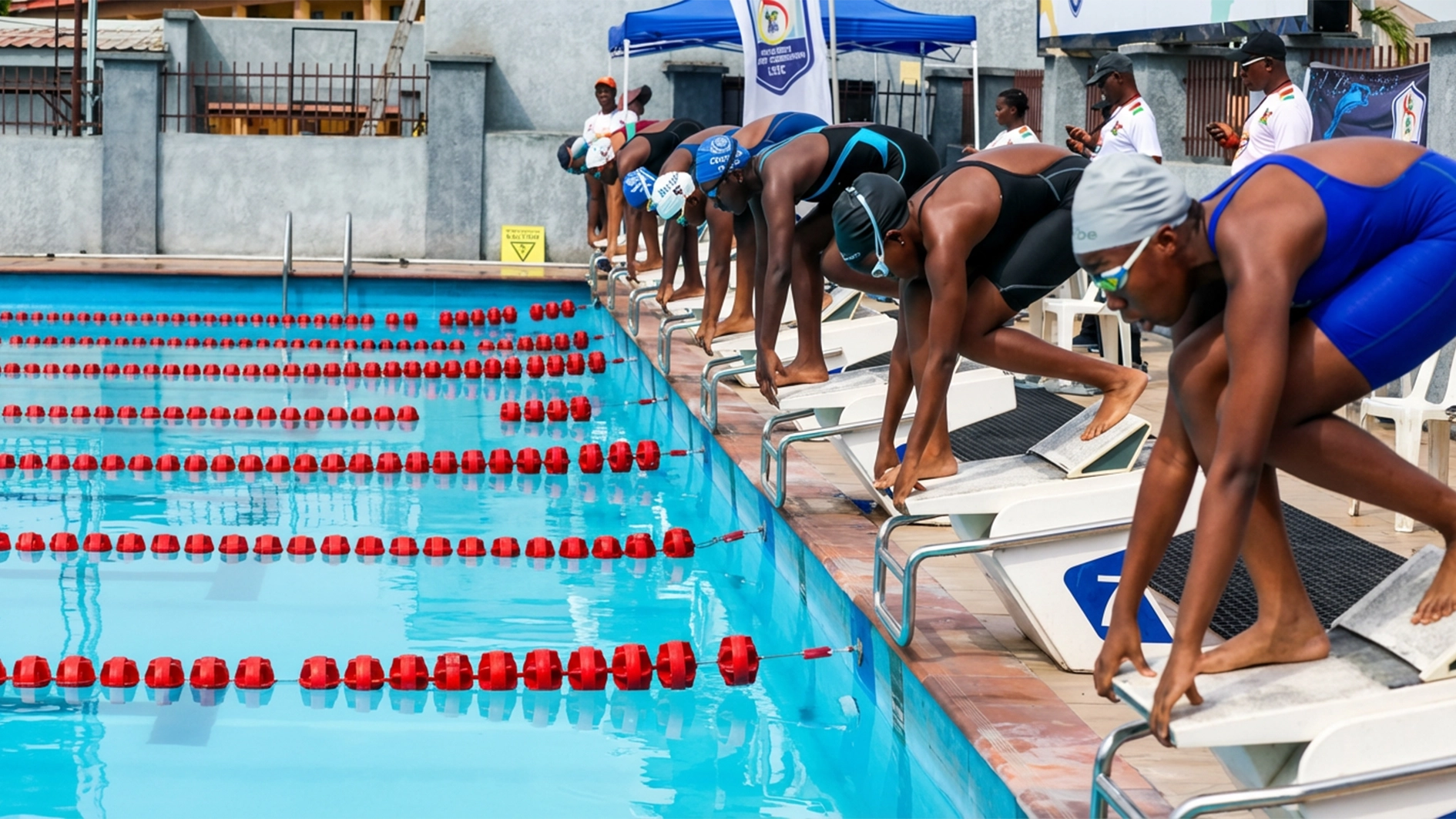 Dolphin Swimming League.