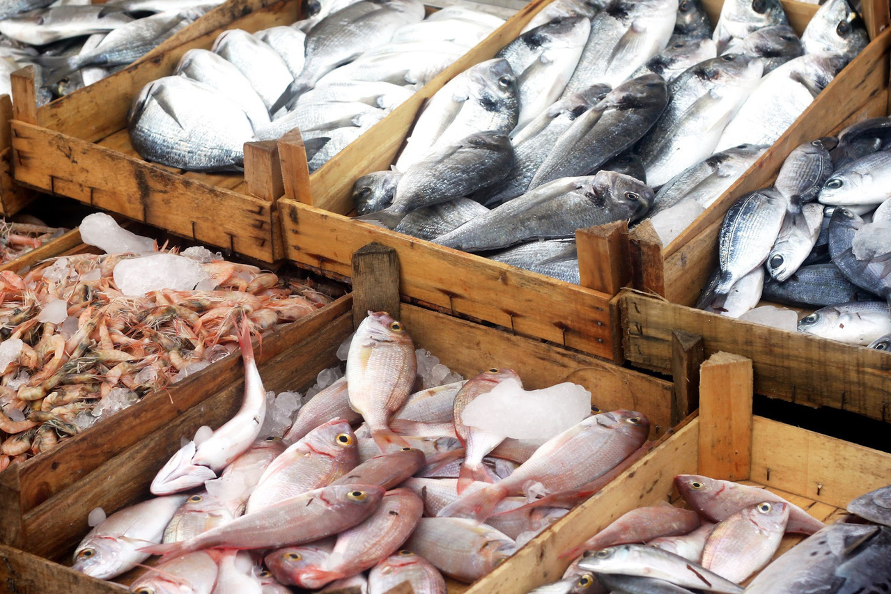 shutterstock-seafood-display-in-market-750×500