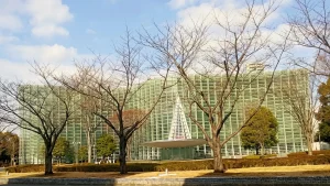 the_national_art_centre__tokyo