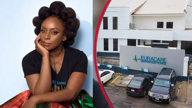 Nigerian author Chimamanda Adichie