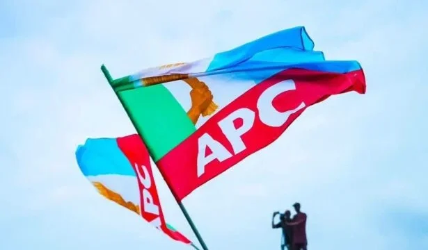 APC flag