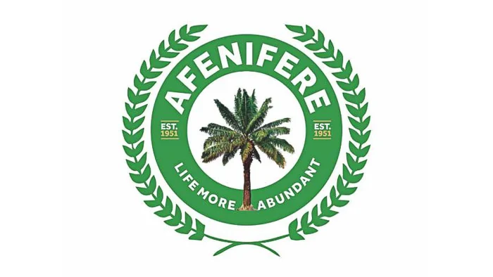 Faloye berates Nigerian politicians over ‘Chapter II’ Constitution sideline