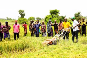 Agric Image