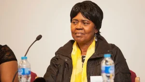 Akachi Adimora-Ezeigbo