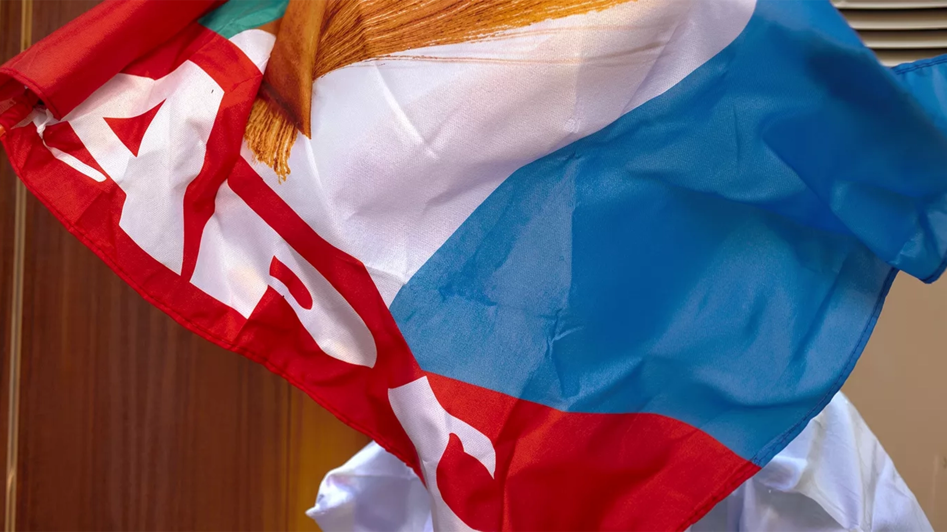 All Progressives Congress (APC) flag