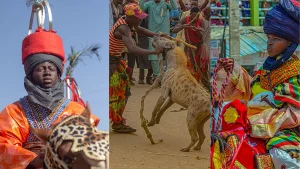 Bauchi Durbar