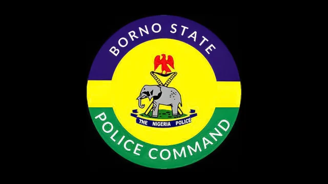 Borno State Police Command