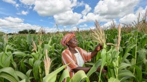 CAADP