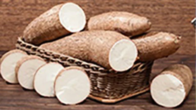 Cassava