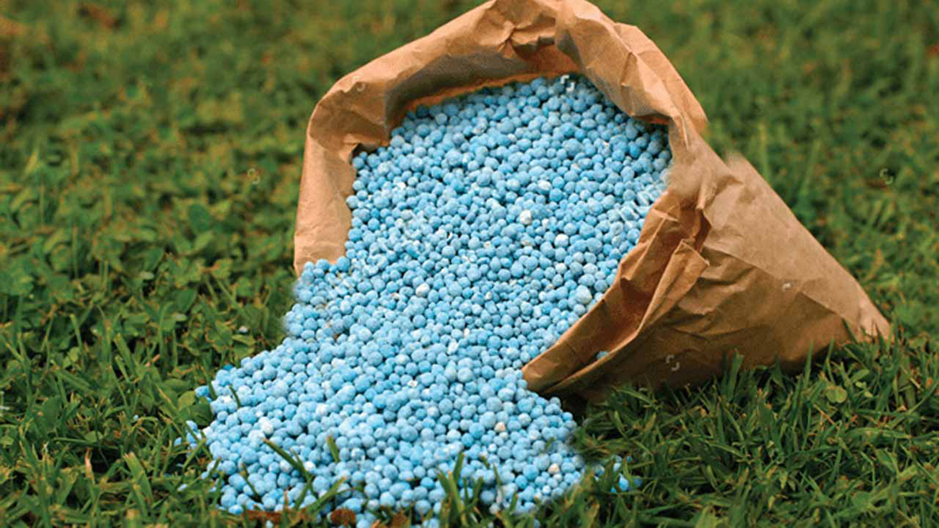 Fertiliser-1