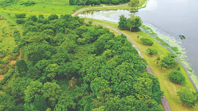 IITA
